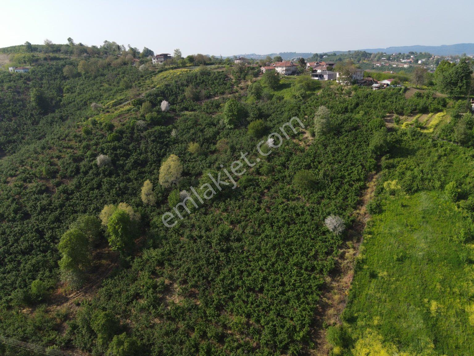 Sakarya Ferizli Gölkent'te Satılık 999 M² Konut İmarlı Arsa - Görsel 30