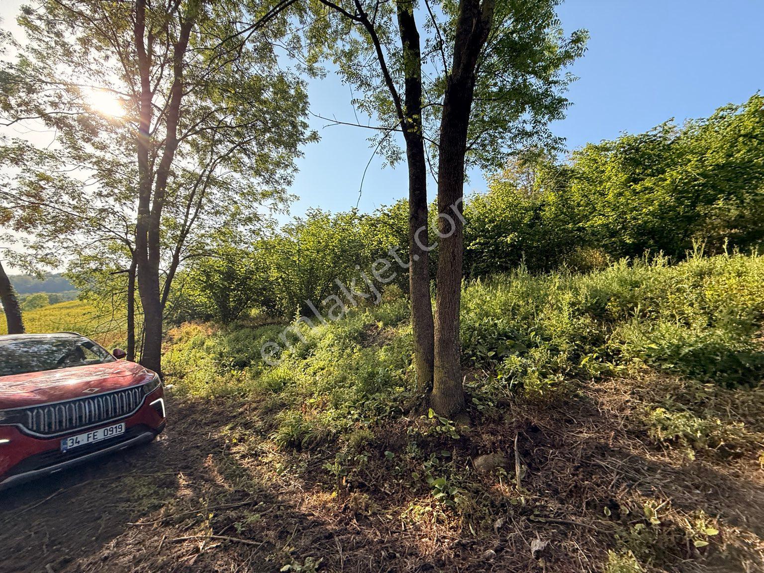 Sakarya Ferizli Gölkent'te Satılık 999 M² Konut İmarlı Arsa - Görsel 12