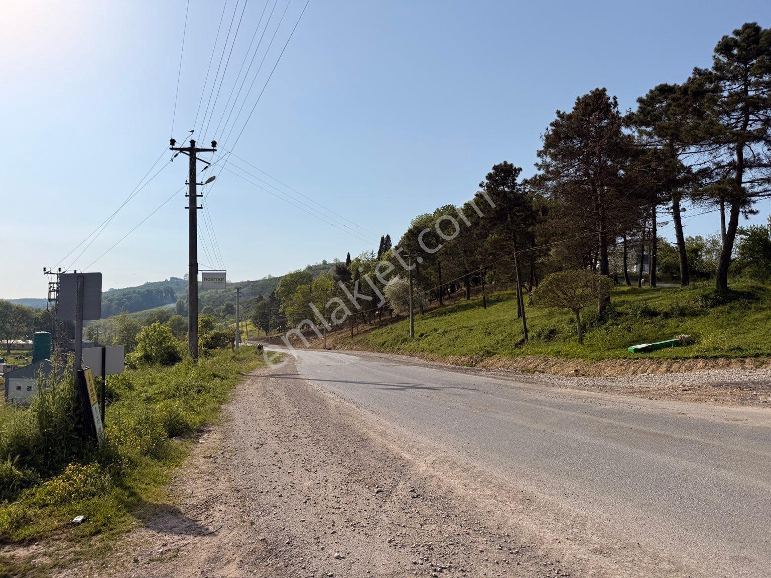 Sakarya Ferizli Gölkent'te Satılık 999 M² Konut İmarlı Arsa - Görsel 5