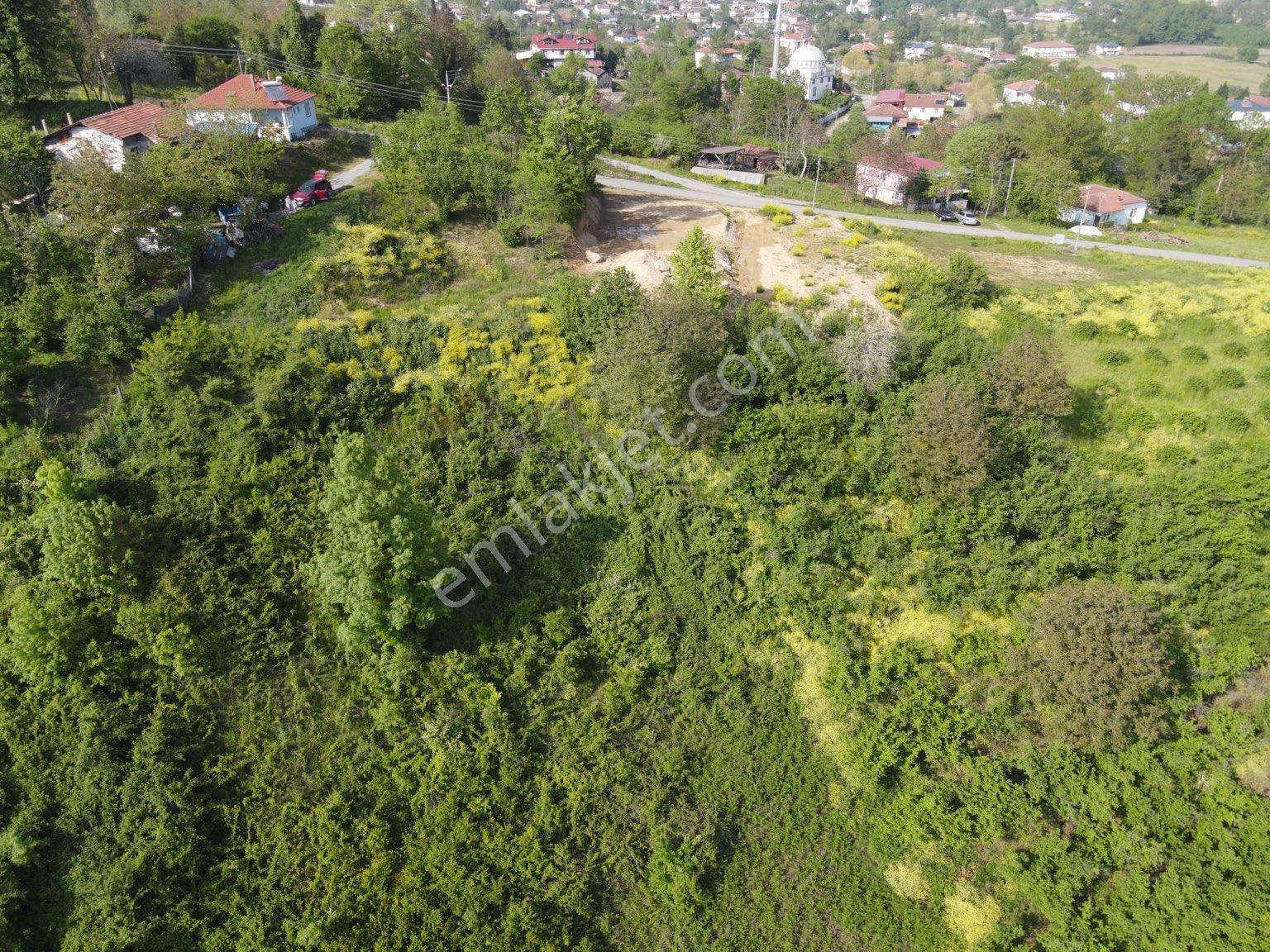 Sakarya Ferizli Gölkent'te Satılık 999 M² Konut İmarlı Arsa - Görsel 36
