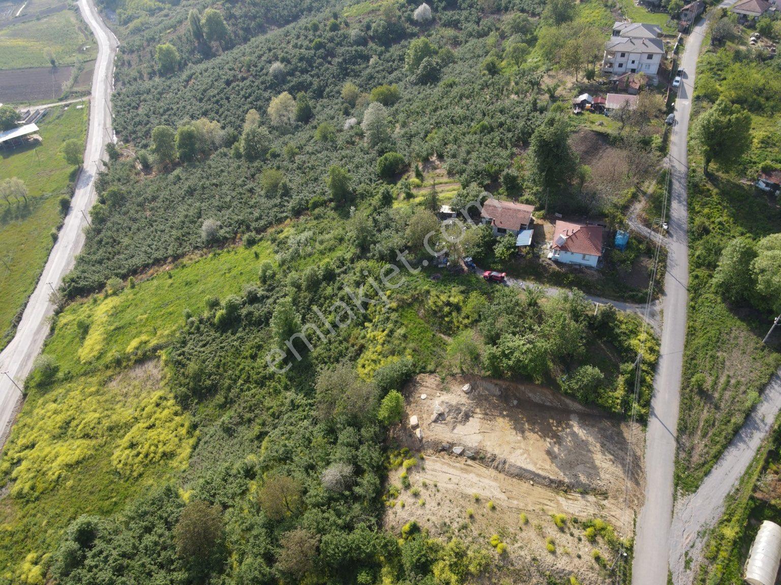 Sakarya Ferizli Gölkent'te Satılık 999 M² Konut İmarlı Arsa - Görsel 27