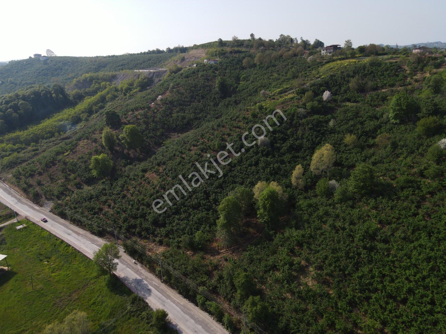 Sakarya Ferizli Gölkent'te Satılık 999 M² Konut İmarlı Arsa - Görsel 29