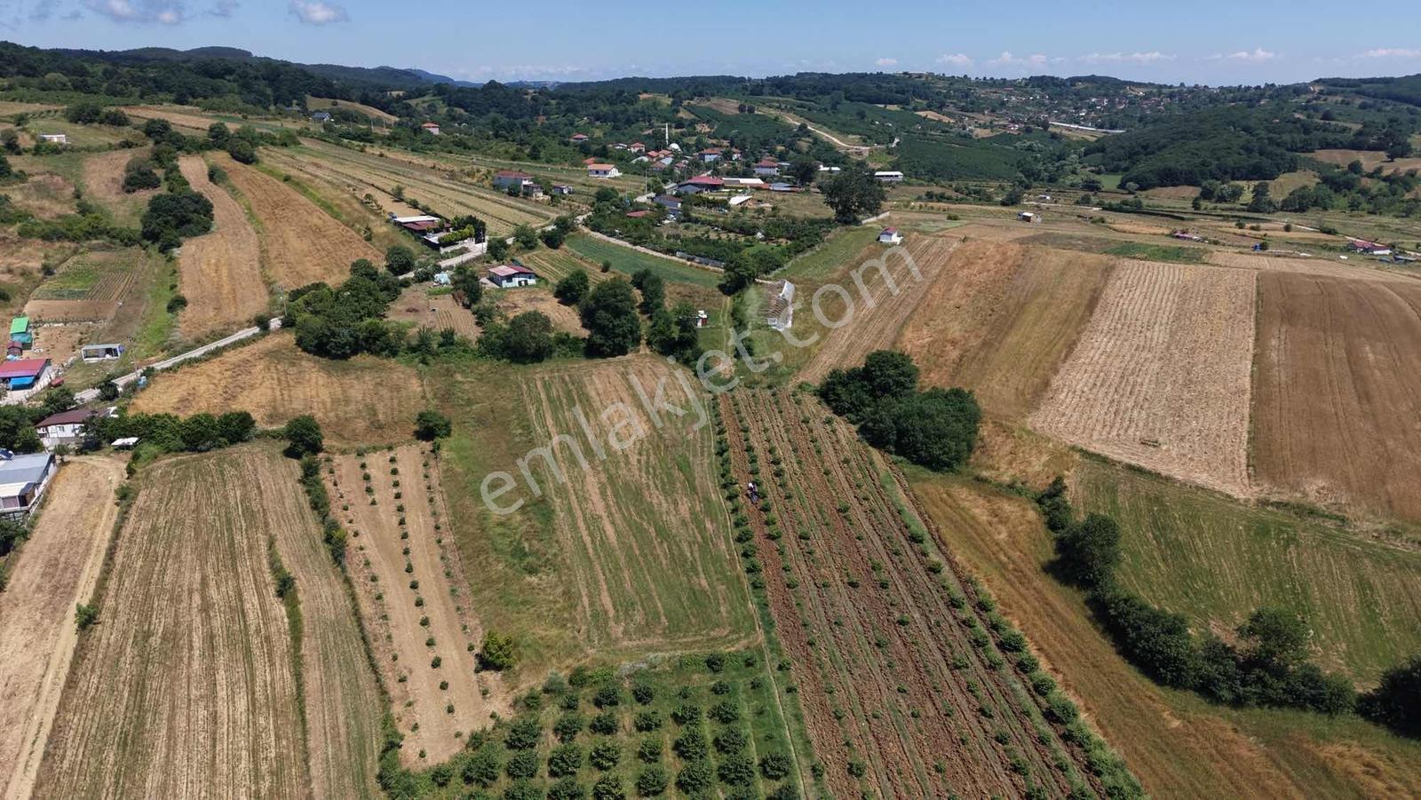 Kandıra Merkeze Ve Seyrek Plajına Yakın 1.888 M2 Arazi - Görsel 12