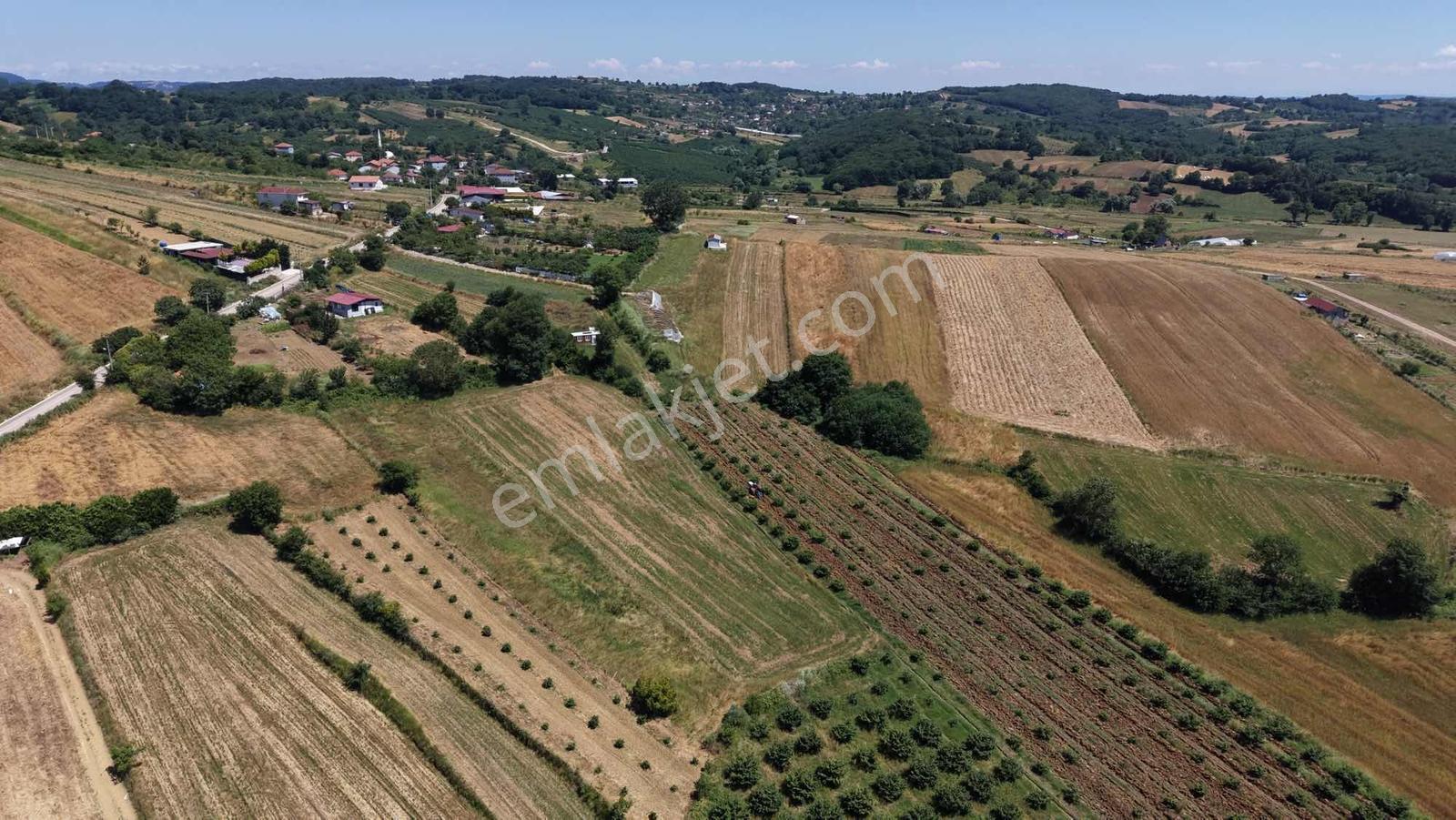 Kandıra Merkeze Ve Seyrek Plajına Yakın 1.888 M2 Arazi - Görsel 24