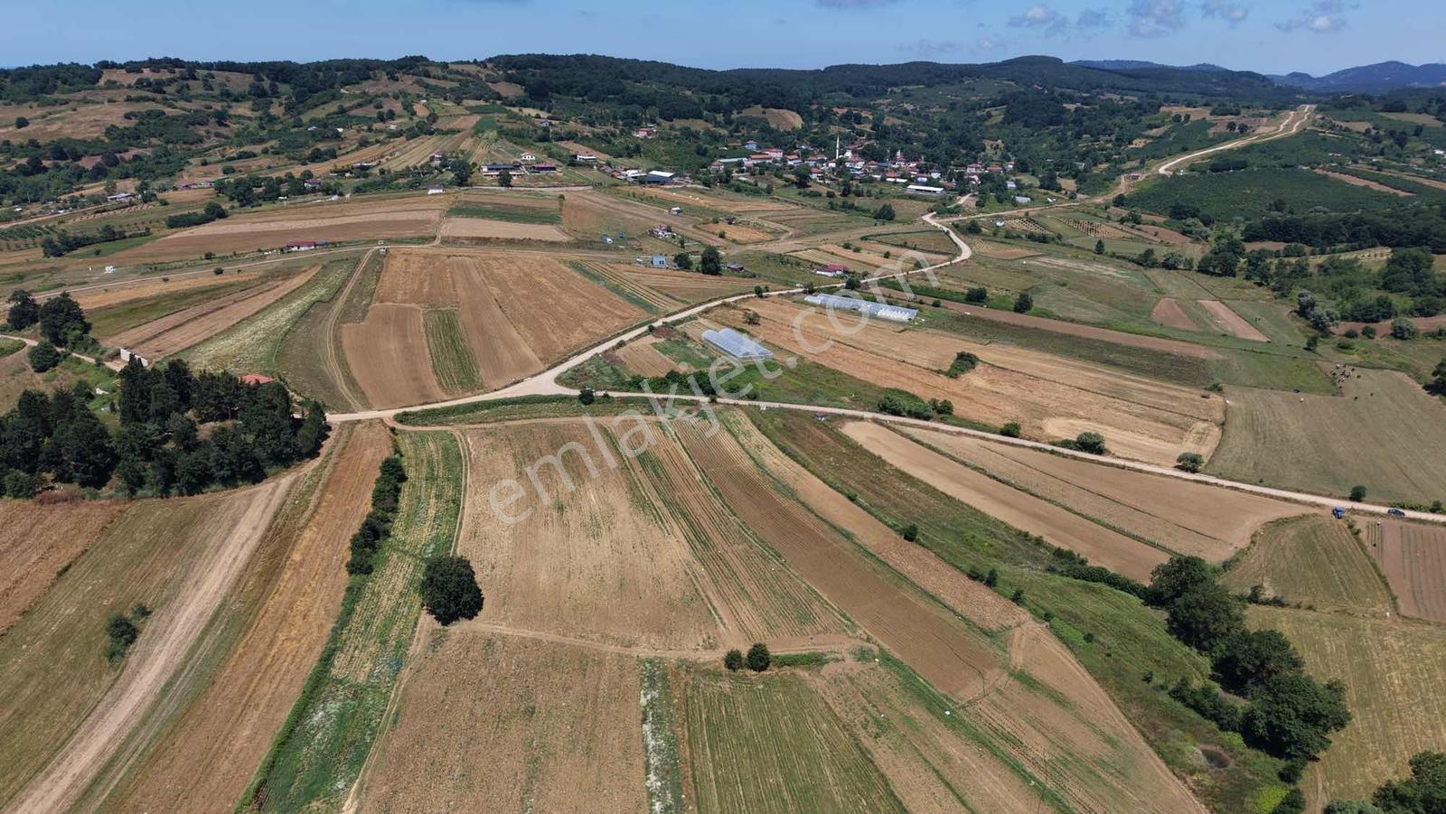Seyrek Plajına 4 Km | 4.458 M² Asfalt Cepheli Arazi - Görsel 4