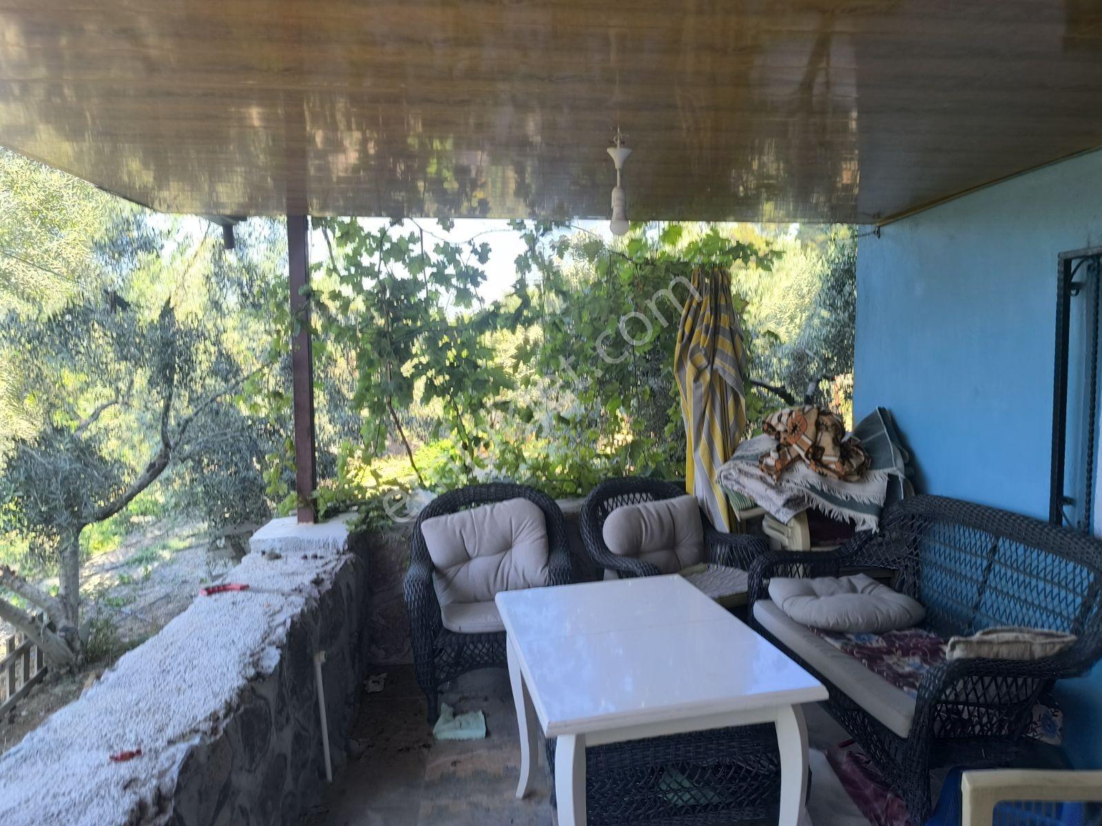 Çınarlıkuyuda Müstakil Köy Evi 2+195m2 625m2+188m2 Ek Arsası