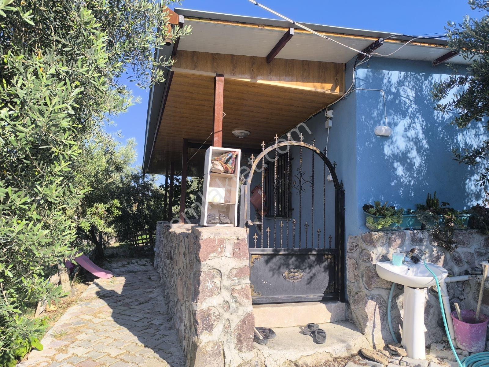 Çınarlıkuyuda Müstakil Köy Evi 2+195m2 625m2+188m2 Ek Arsası - Görsel 6