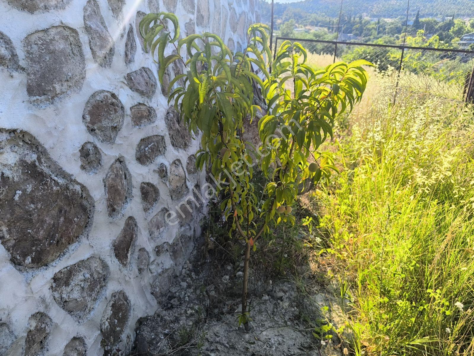 Çınarlıkuyuda Müstakil Köy Evi 2+195m2 625m2+188m2 Ek Arsası - Görsel 10