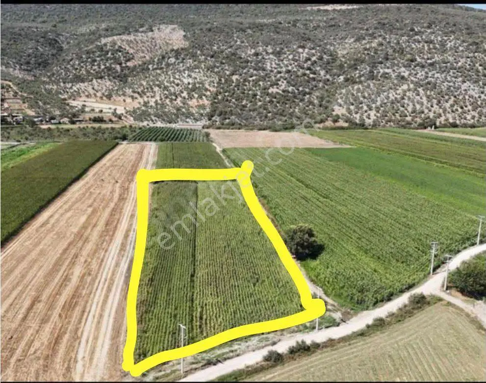 Milas Ovakışlacık'ta 18.659 M2 Elk, Su, Yolu Olan Arsa - Görsel 5