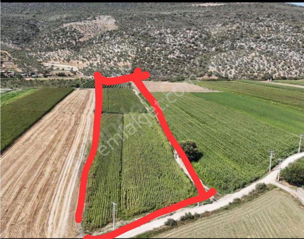 Milas Ovakışlacık'ta 18.659 M2 Elk, Su, Yolu Olan Arsa - Görsel 3