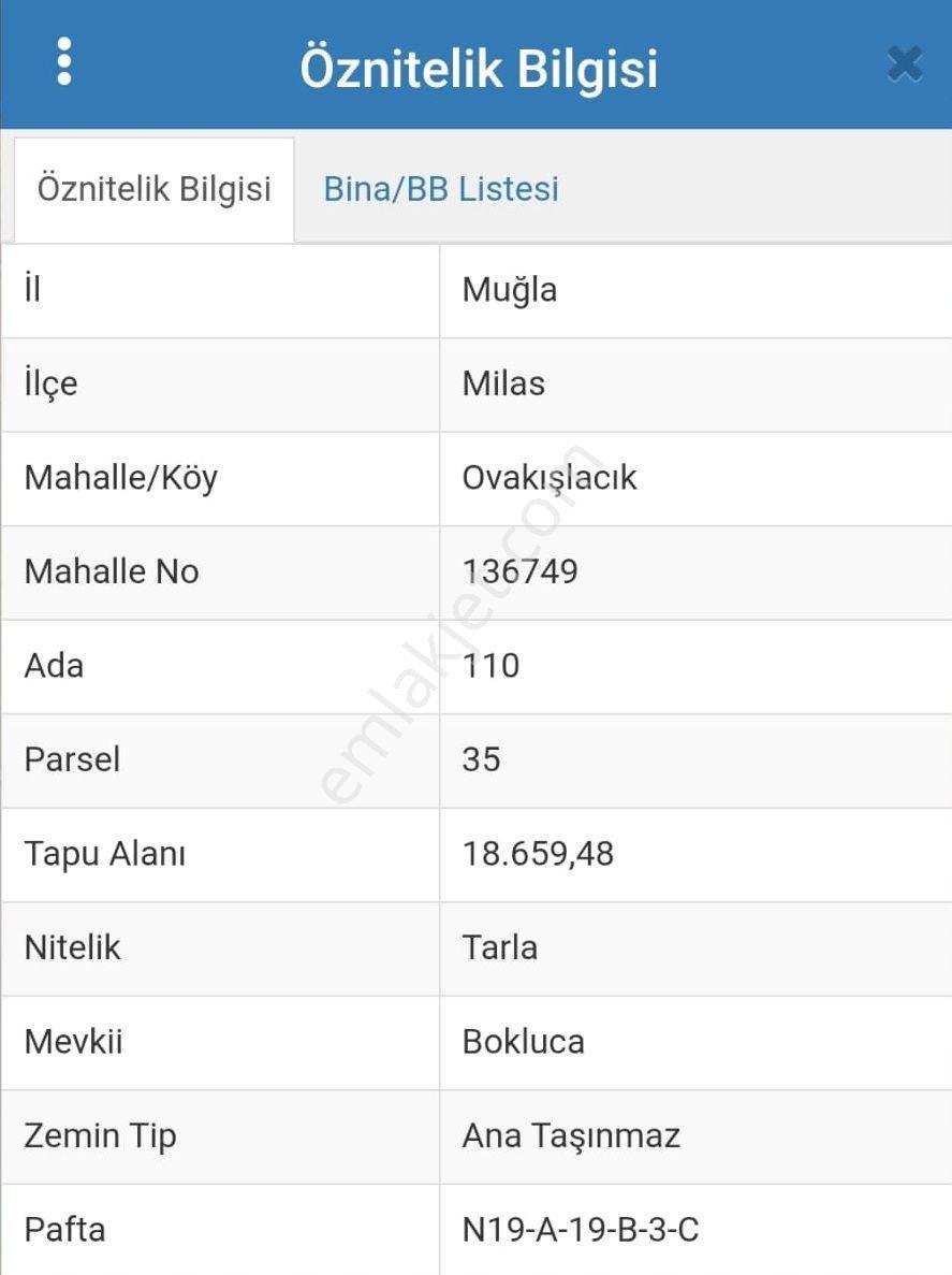 Milas Ovakışlacık'ta 18.659 M2 Elk, Su, Yolu Olan Arsa - Görsel 7