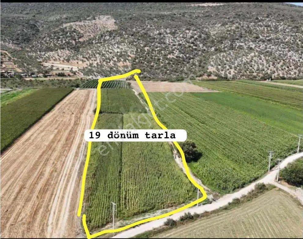 Milas Ovakışlacık'ta 18.659 M2 Elk, Su, Yolu Olan Arsa