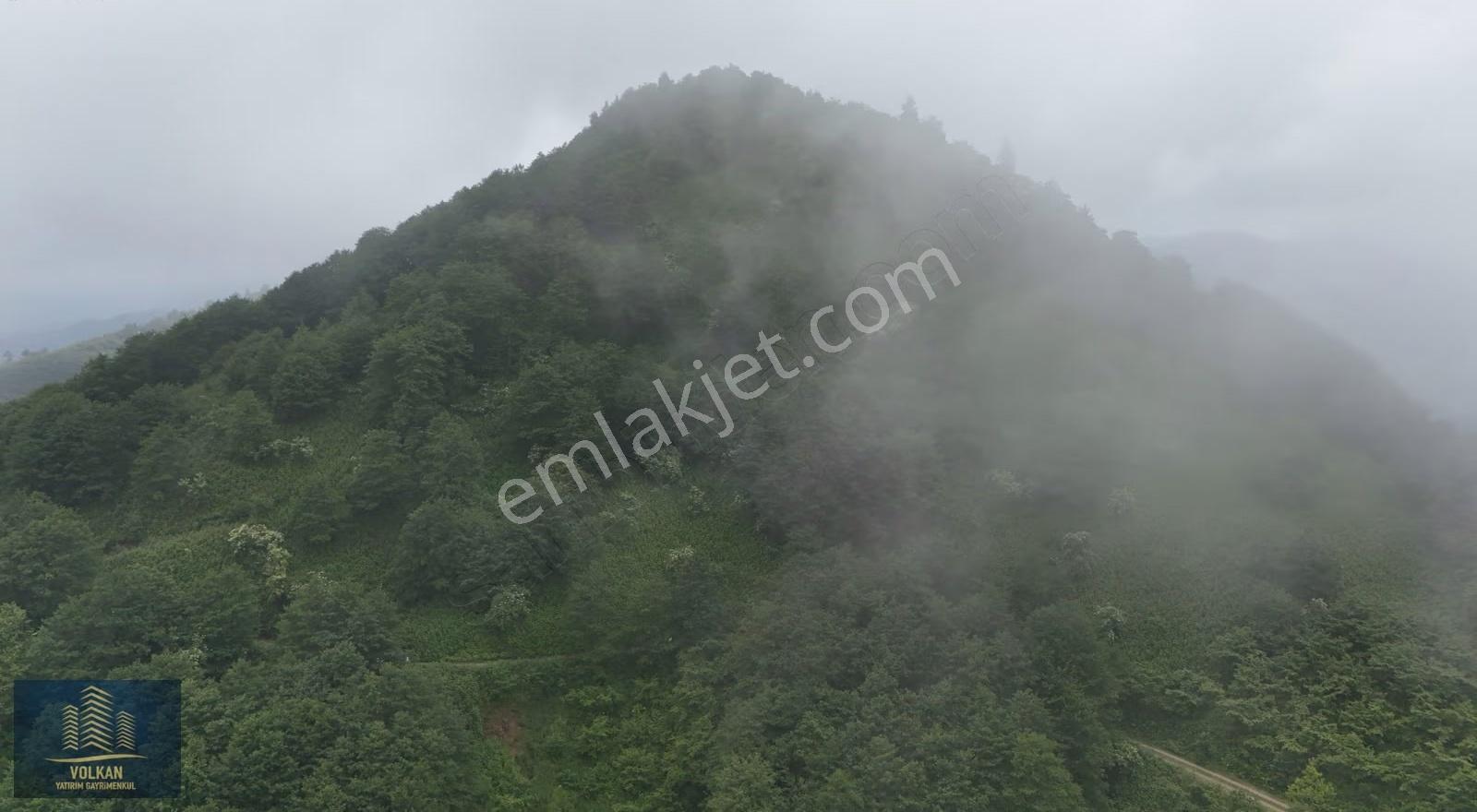 Vyg'den Ağıllı Mahallesinde Satılık 4237 M2 Arsa - Görsel 7
