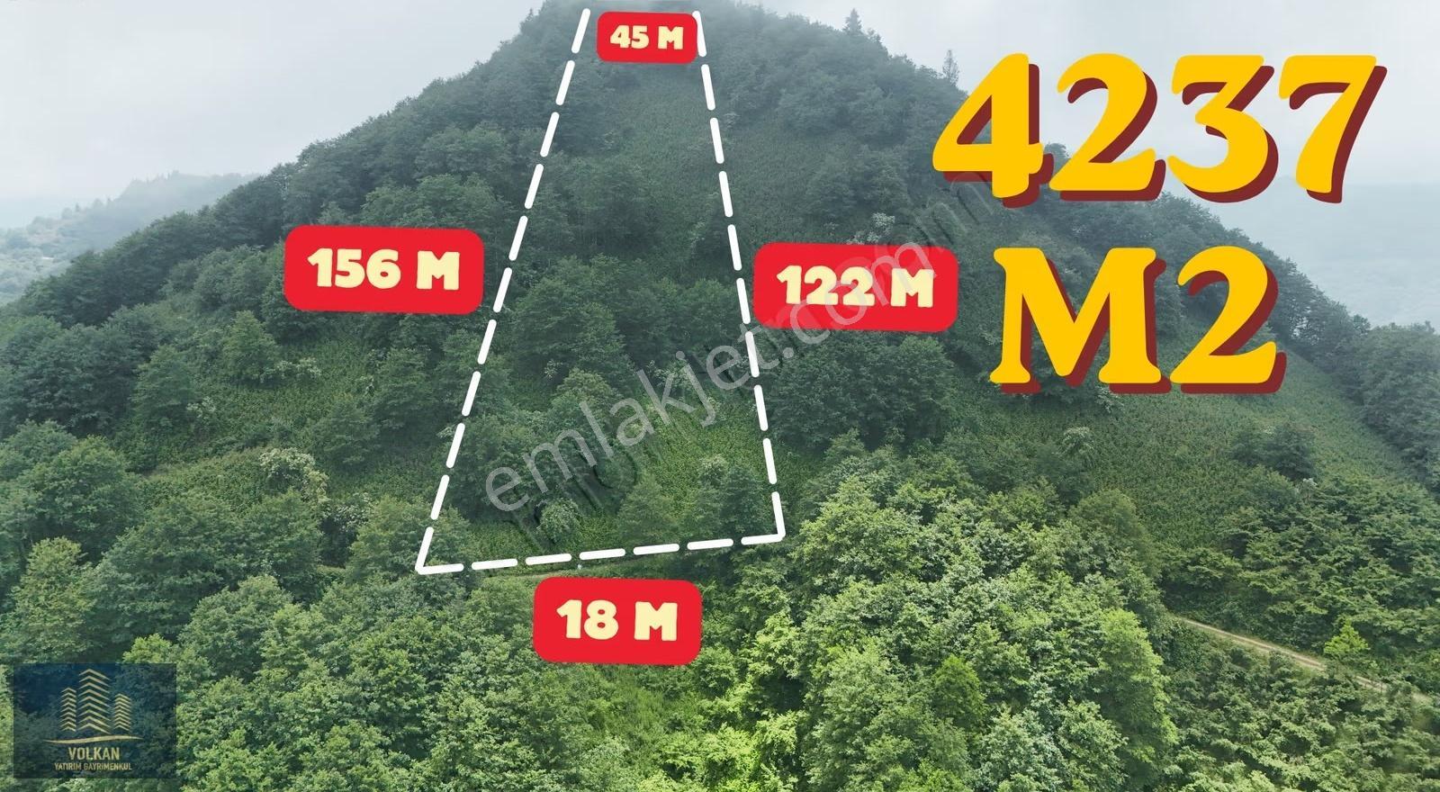 Vyg'den Ağıllı Mahallesinde Satılık 4237 M2 Arsa