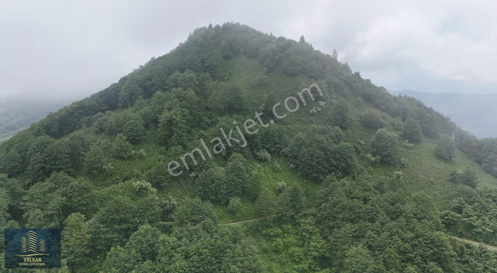 Vyg'den Ağıllı Mahallesinde Satılık 4237 M2 Arsa - Görsel 13
