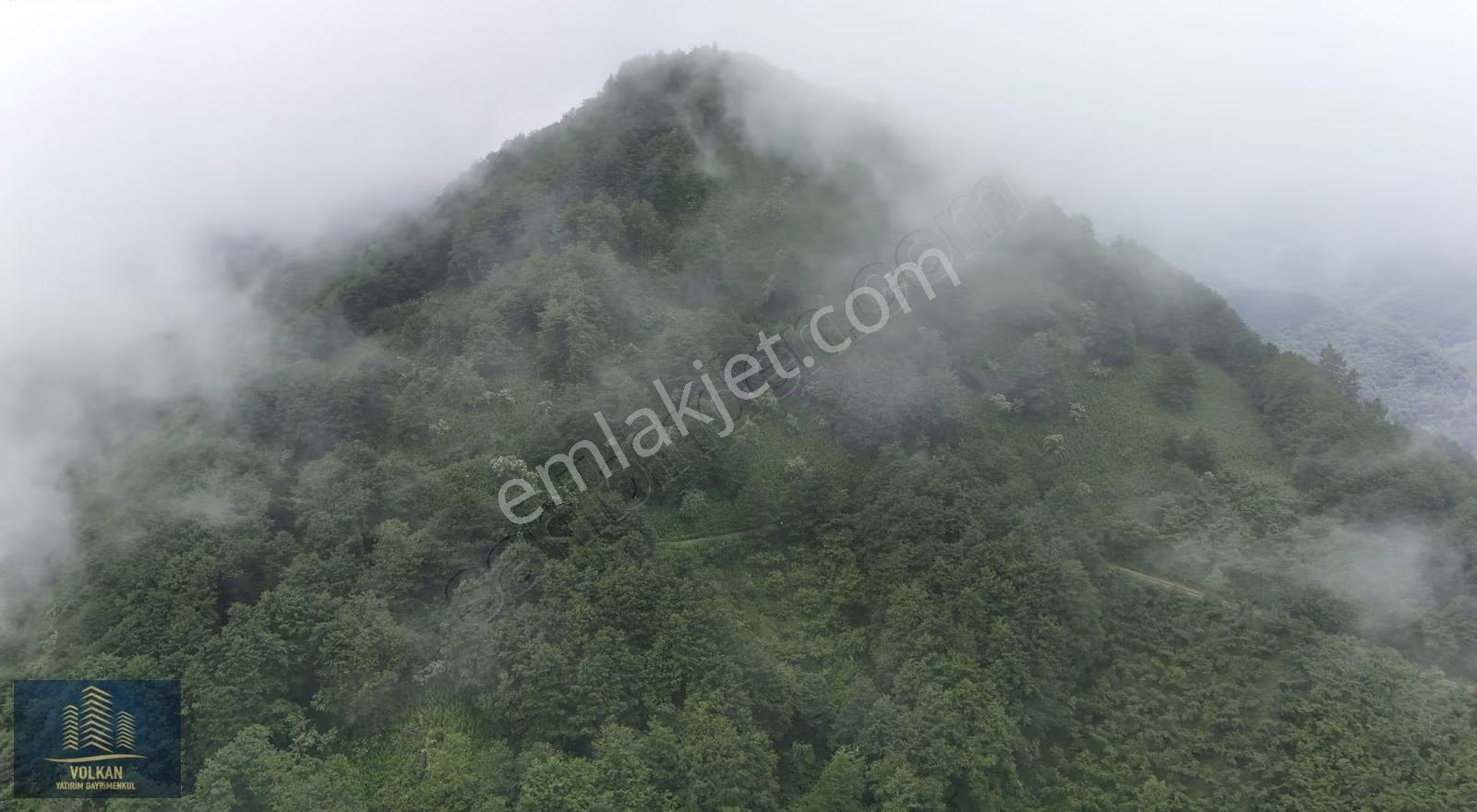 Vyg'den Ağıllı Mahallesinde Satılık 4237 M2 Arsa - Görsel 25