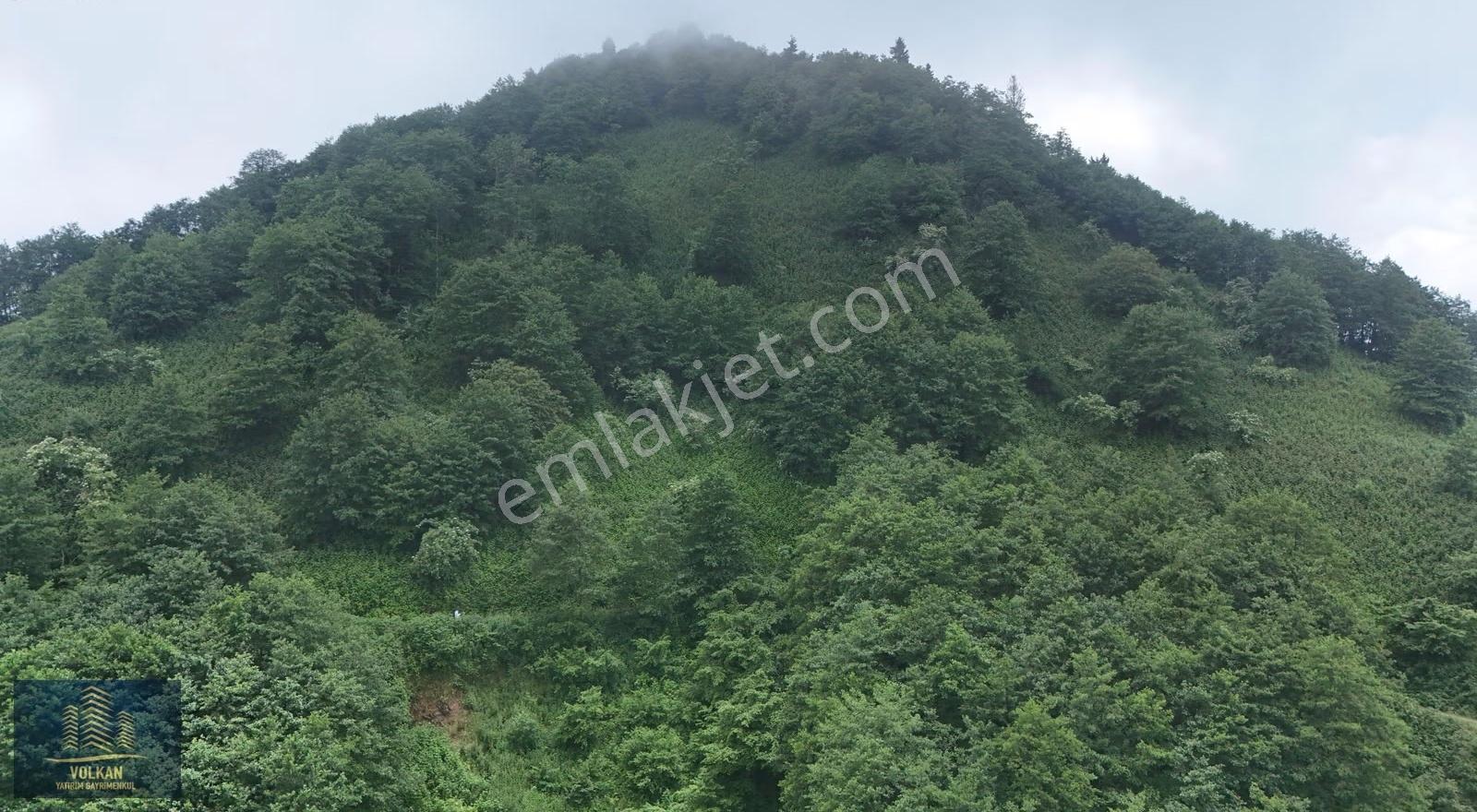 Vyg'den Ağıllı Mahallesinde Satılık 4237 M2 Arsa - Görsel 6
