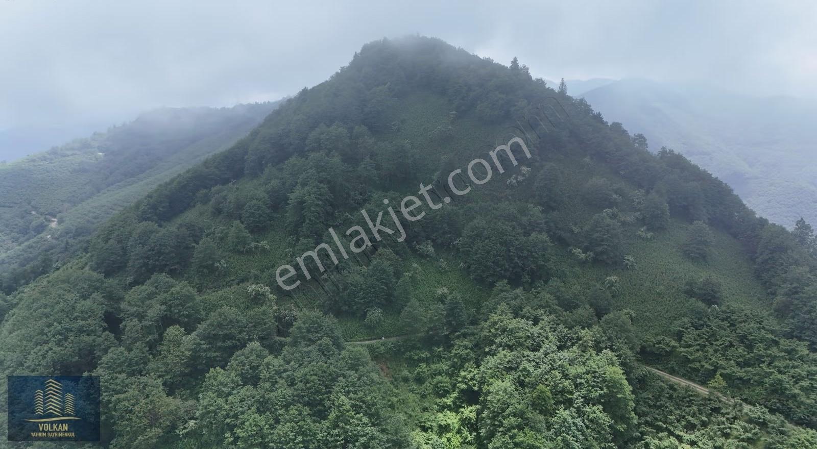 Vyg'den Ağıllı Mahallesinde Satılık 4237 M2 Arsa - Görsel 3