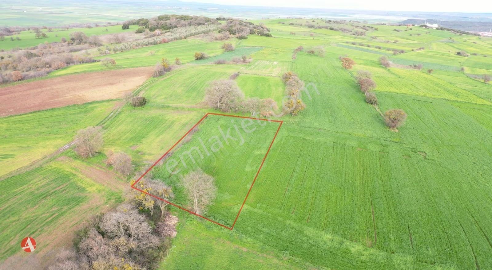 Çanakkale, Biga, Yeniçiflik, Köye Yakın , 1.829 M2 Satılık Arazi - Görsel 6