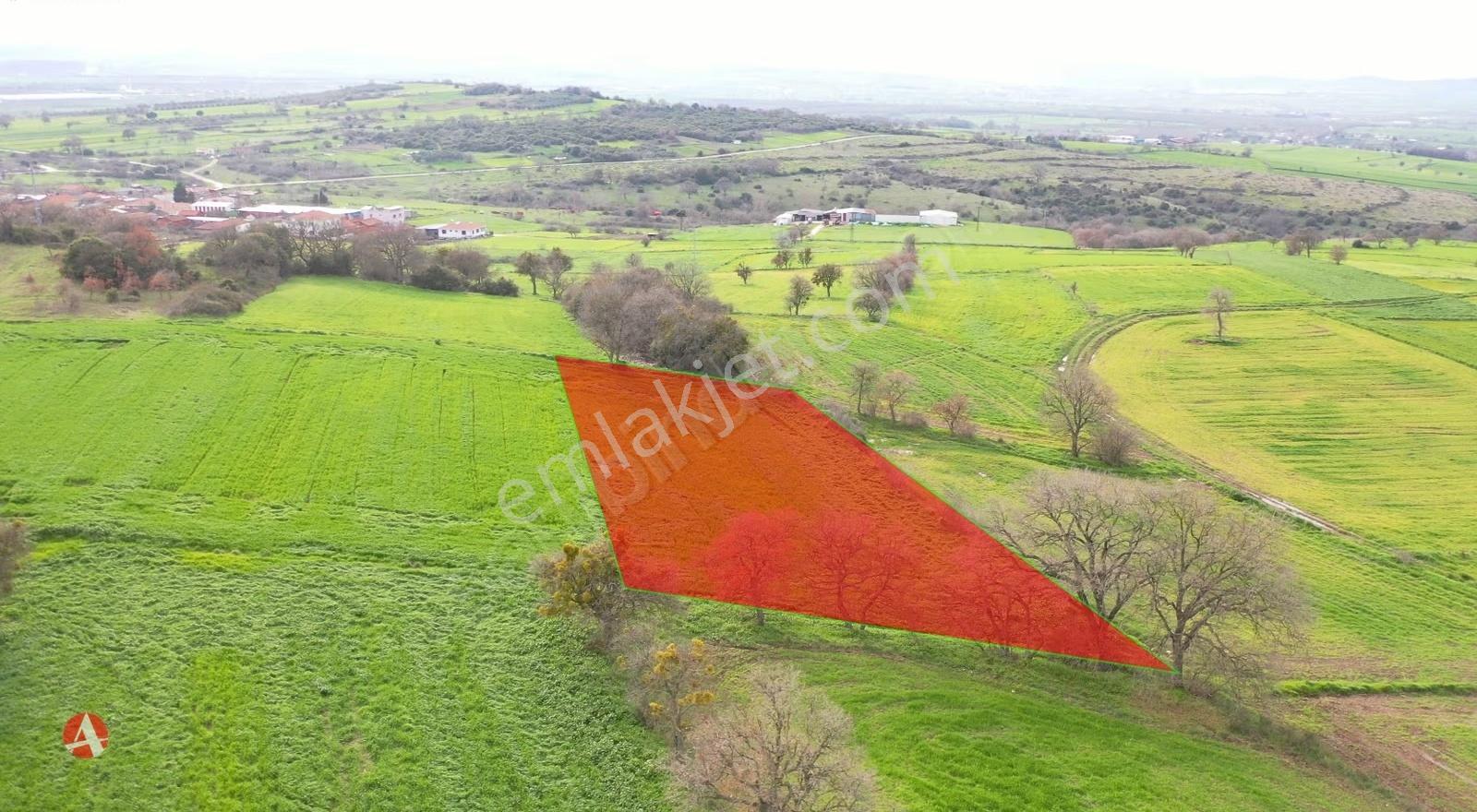 Çanakkale, Biga, Yeniçiflik, Köye Yakın , 1.829 M2 Satılık Arazi