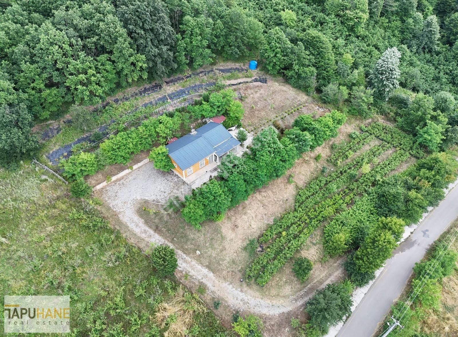 Şehrin Arka Bahçesi Satılık Müstakil Ev Ve 2727m2 Arsası - Görsel 19