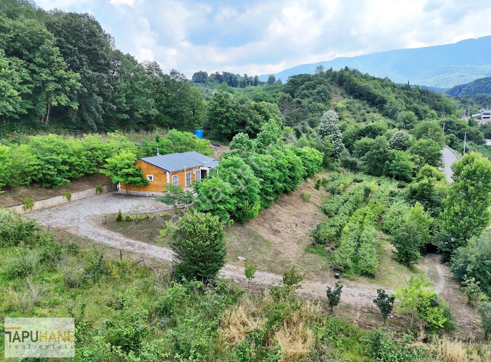 Şehrin Arka Bahçesi Satılık Müstakil Ev Ve 2727m2 Arsası - Görsel 17