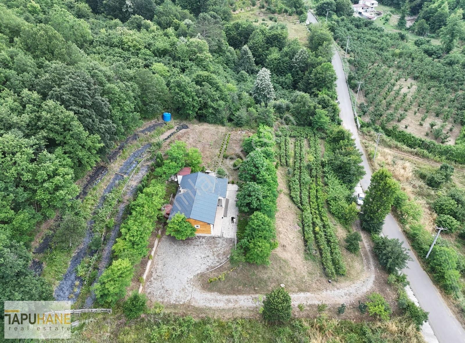 Şehrin Arka Bahçesi Satılık Müstakil Ev Ve 2727m2 Arsası - Görsel 23