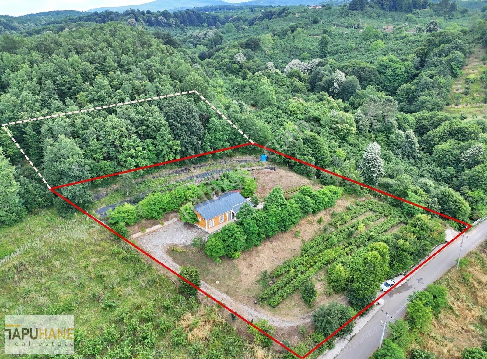 Şehrin Arka Bahçesi Satılık Müstakil Ev Ve 2727m2 Arsası - Görsel 26