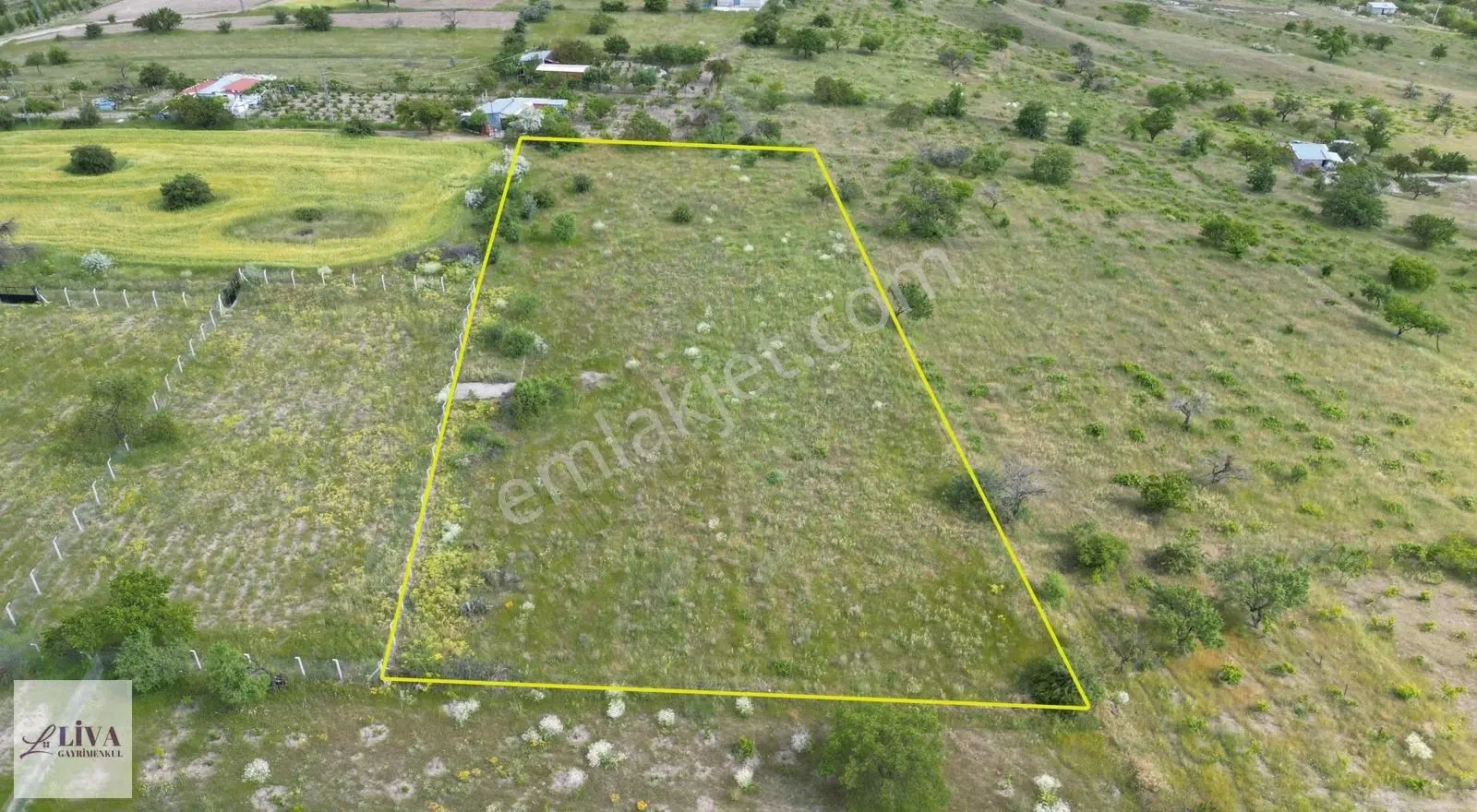 Liva'dan Reşadiye'de Harika Konumda 4124 M² Tek Tapu Bağ - Görsel 3