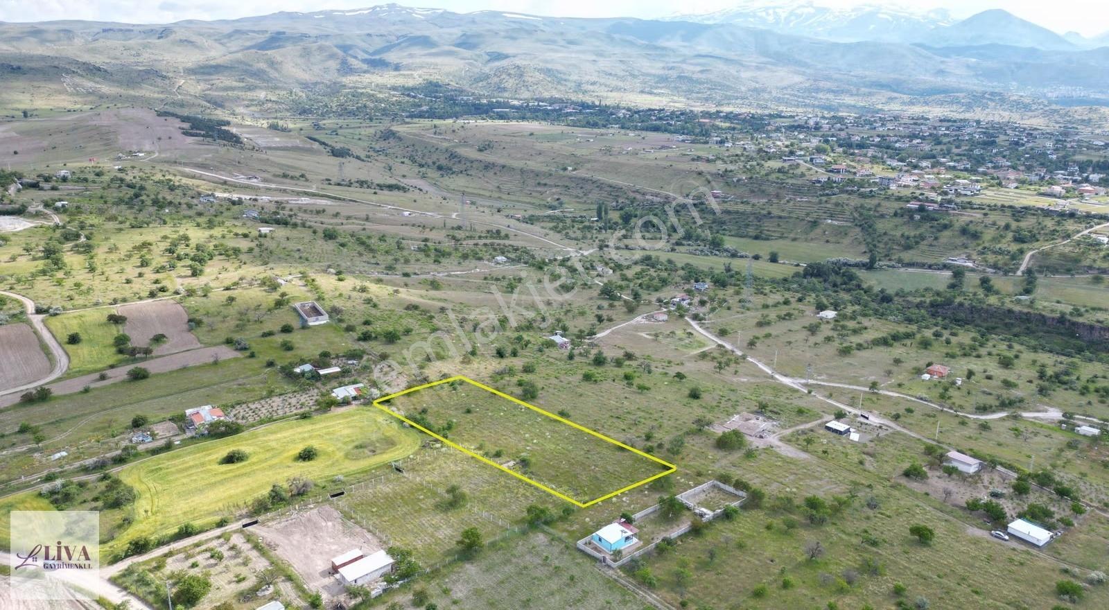 Liva'dan Reşadiye'de Harika Konumda 4124 M² Tek Tapu Bağ - Görsel 15