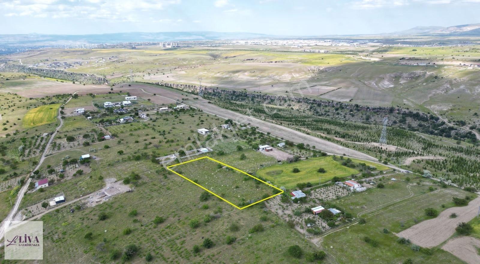 Liva'dan Reşadiye'de Harika Konumda 4124 M² Tek Tapu Bağ - Görsel 10