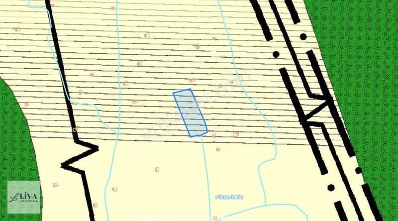 Liva'dan Reşadiye'de Harika Konumda 4124 M² Tek Tapu Bağ - Görsel 9