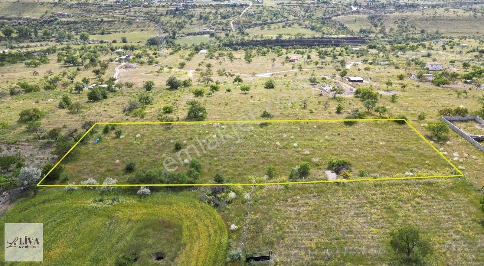 Liva'dan Reşadiye'de Harika Konumda 4124 M² Tek Tapu Bağ - Görsel 17