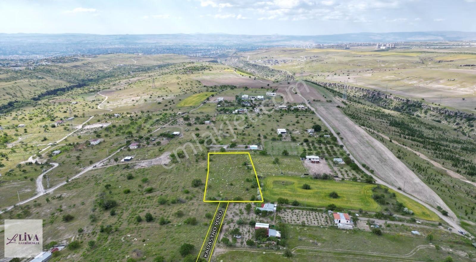 Liva'dan Reşadiye'de Harika Konumda 4124 M² Tek Tapu Bağ - Görsel 18