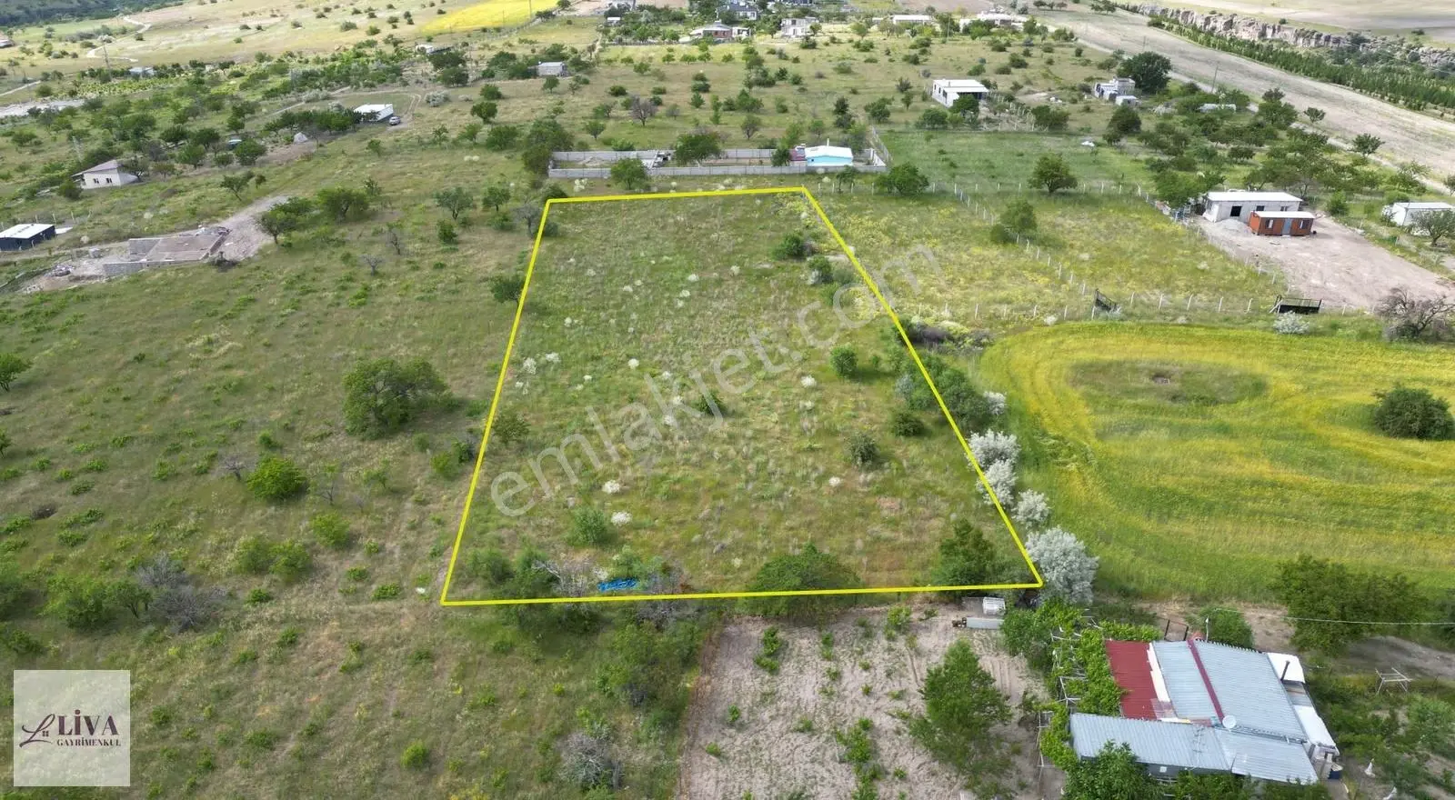 Liva'dan Reşadiye'de Harika Konumda 4124 M² Tek Tapu Bağ - Görsel 4