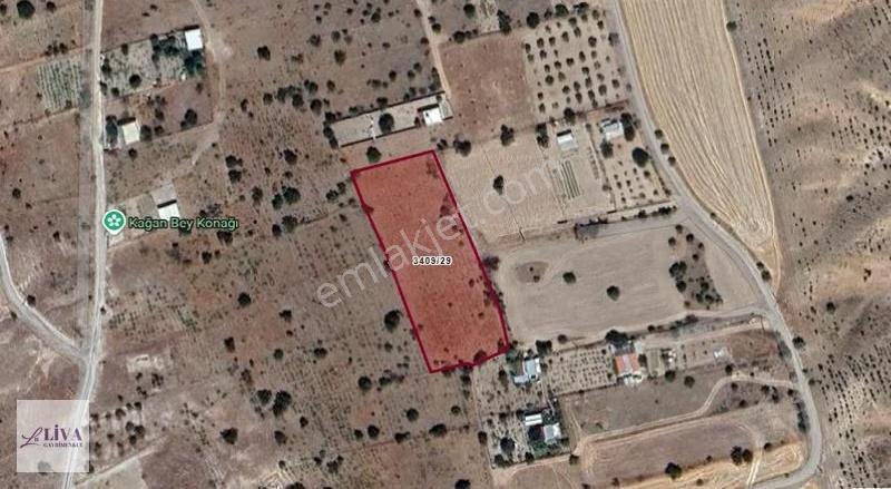 Liva'dan Reşadiye'de Harika Konumda 4124 M² Tek Tapu Bağ - Görsel 11