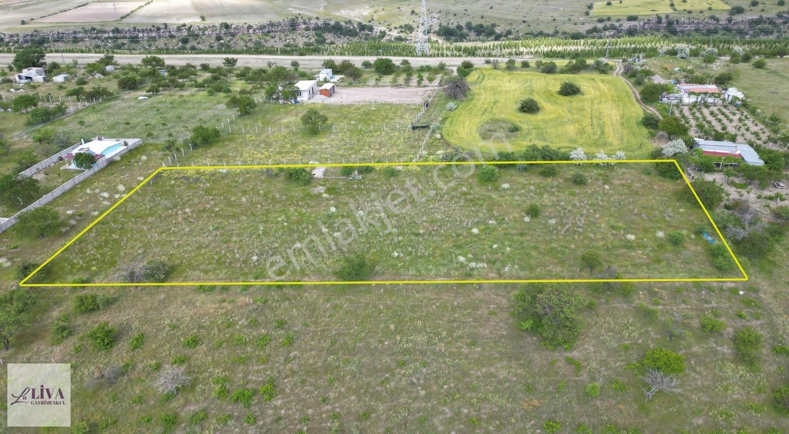 Liva'dan Reşadiye'de Harika Konumda 4124 M² Tek Tapu Bağ - Görsel 13