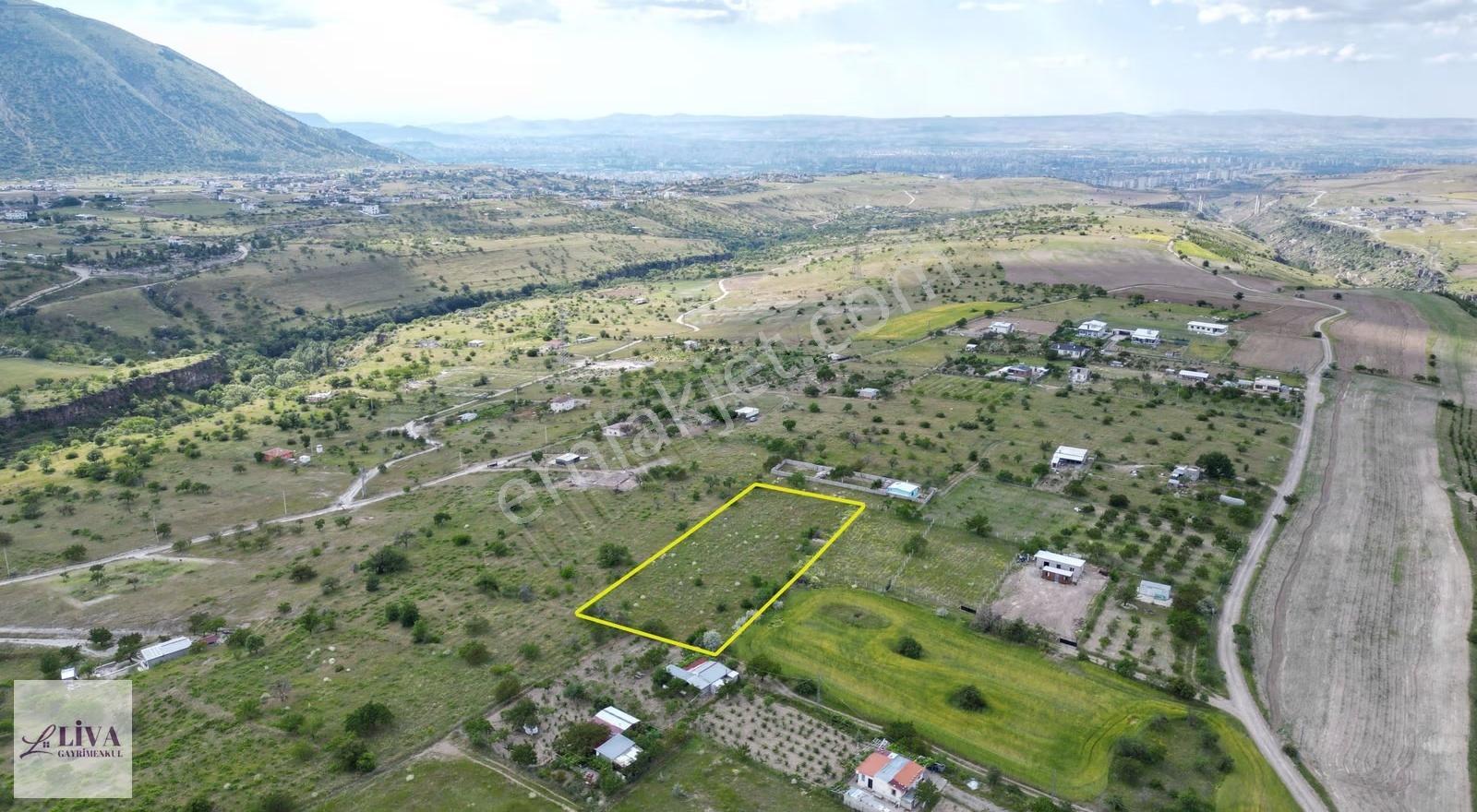 Liva'dan Reşadiye'de Harika Konumda 4124 M² Tek Tapu Bağ - Görsel 14