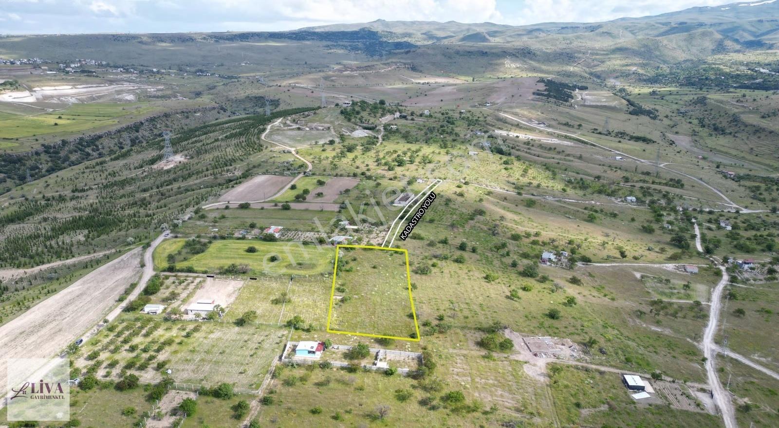 Liva'dan Reşadiye'de Harika Konumda 4124 M² Tek Tapu Bağ - Görsel 2