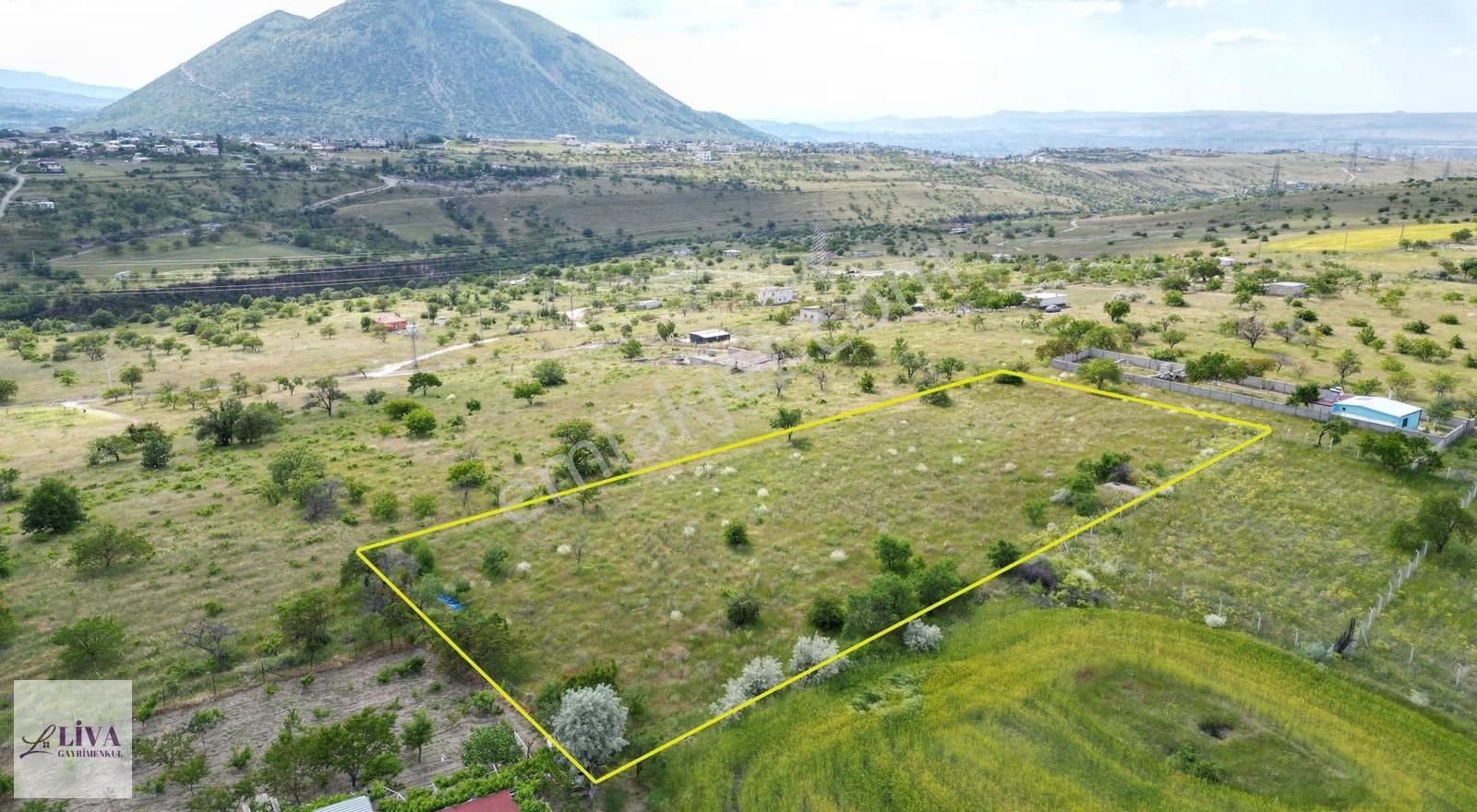 Liva'dan Reşadiye'de Harika Konumda 4124 M² Tek Tapu Bağ - Görsel 12