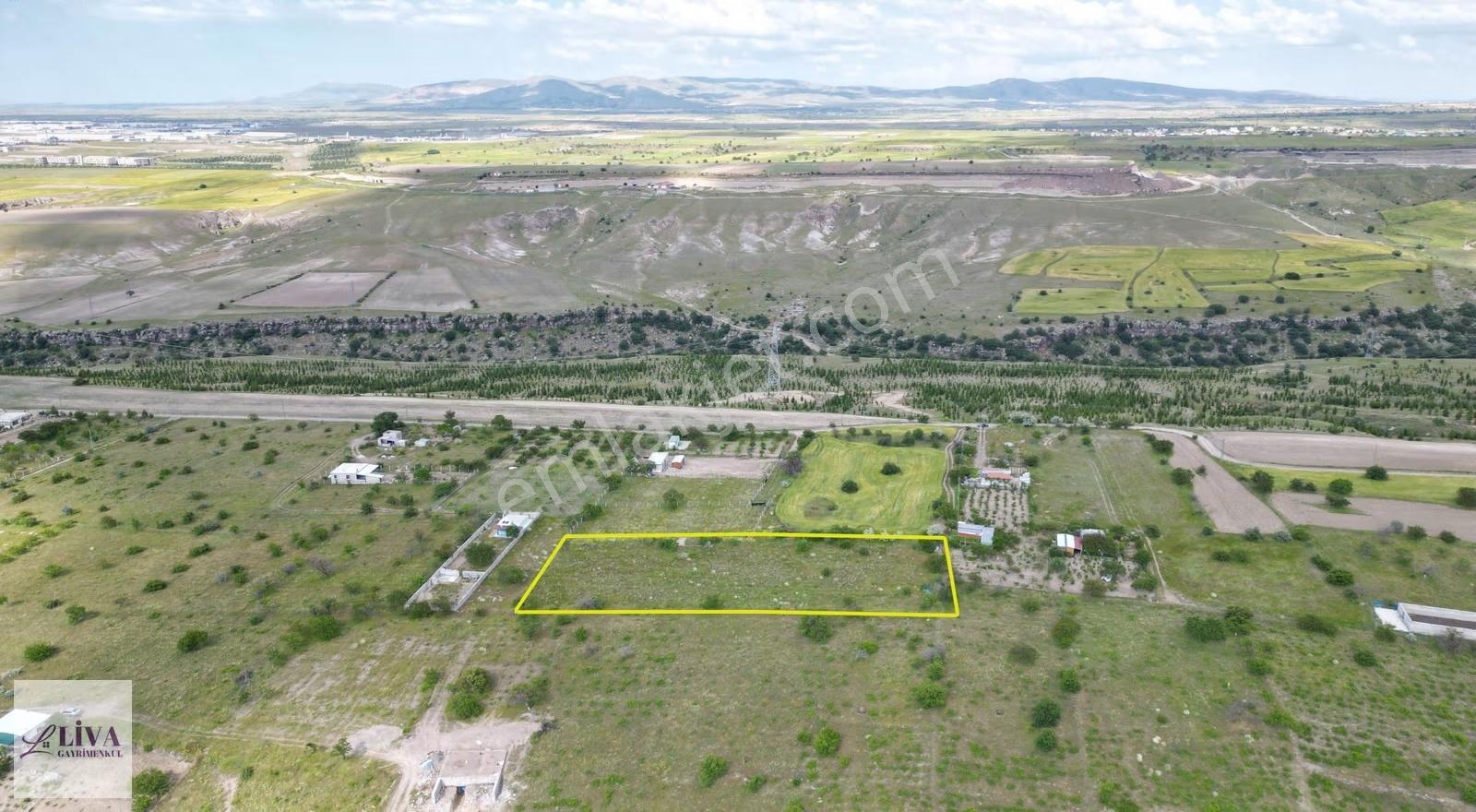 Liva'dan Reşadiye'de Harika Konumda 4124 M² Tek Tapu Bağ - Görsel 16