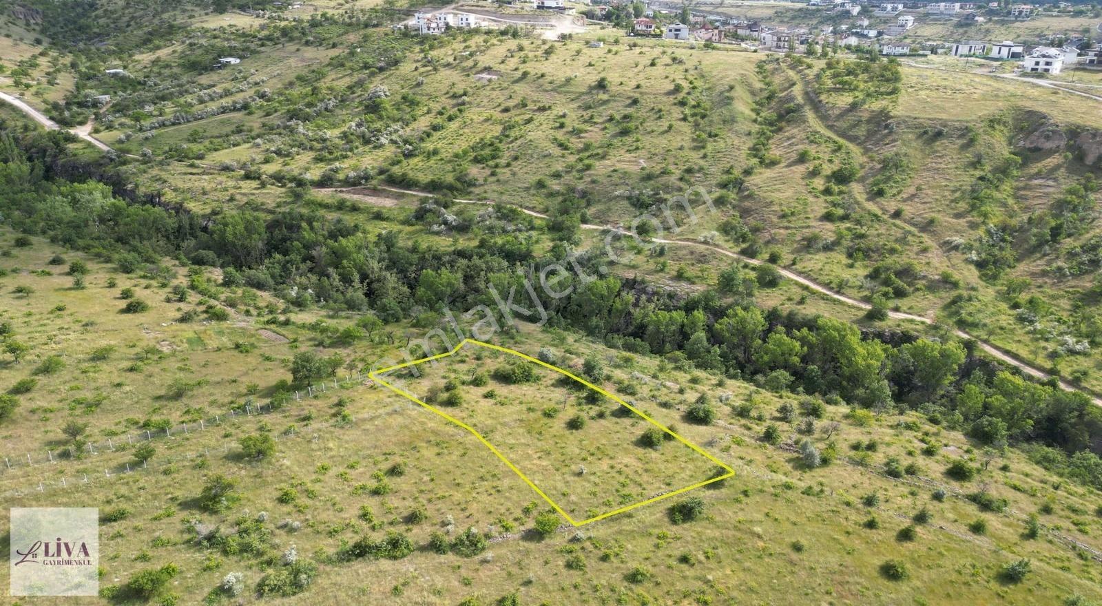 Liva'dan Reşadiye'de Rızai Taksimli 277 M² Bağ - Görsel 10