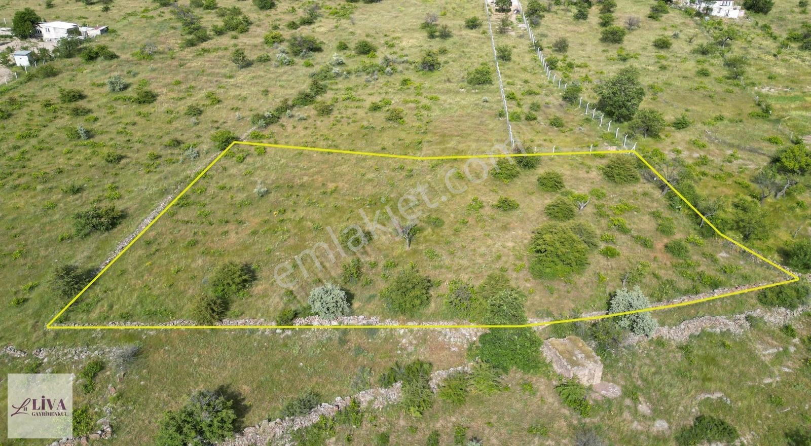 Liva'dan Reşadiye'de Rızai Taksimli 277 M² Bağ - Görsel 11