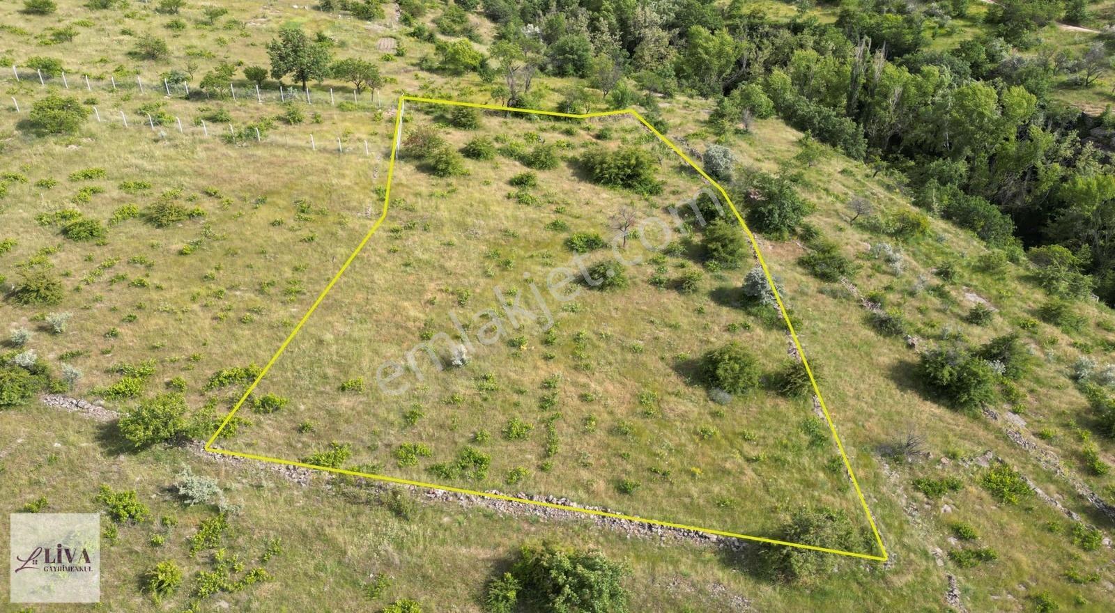 Liva'dan Reşadiye'de Rızai Taksimli 277 M² Bağ - Görsel 13