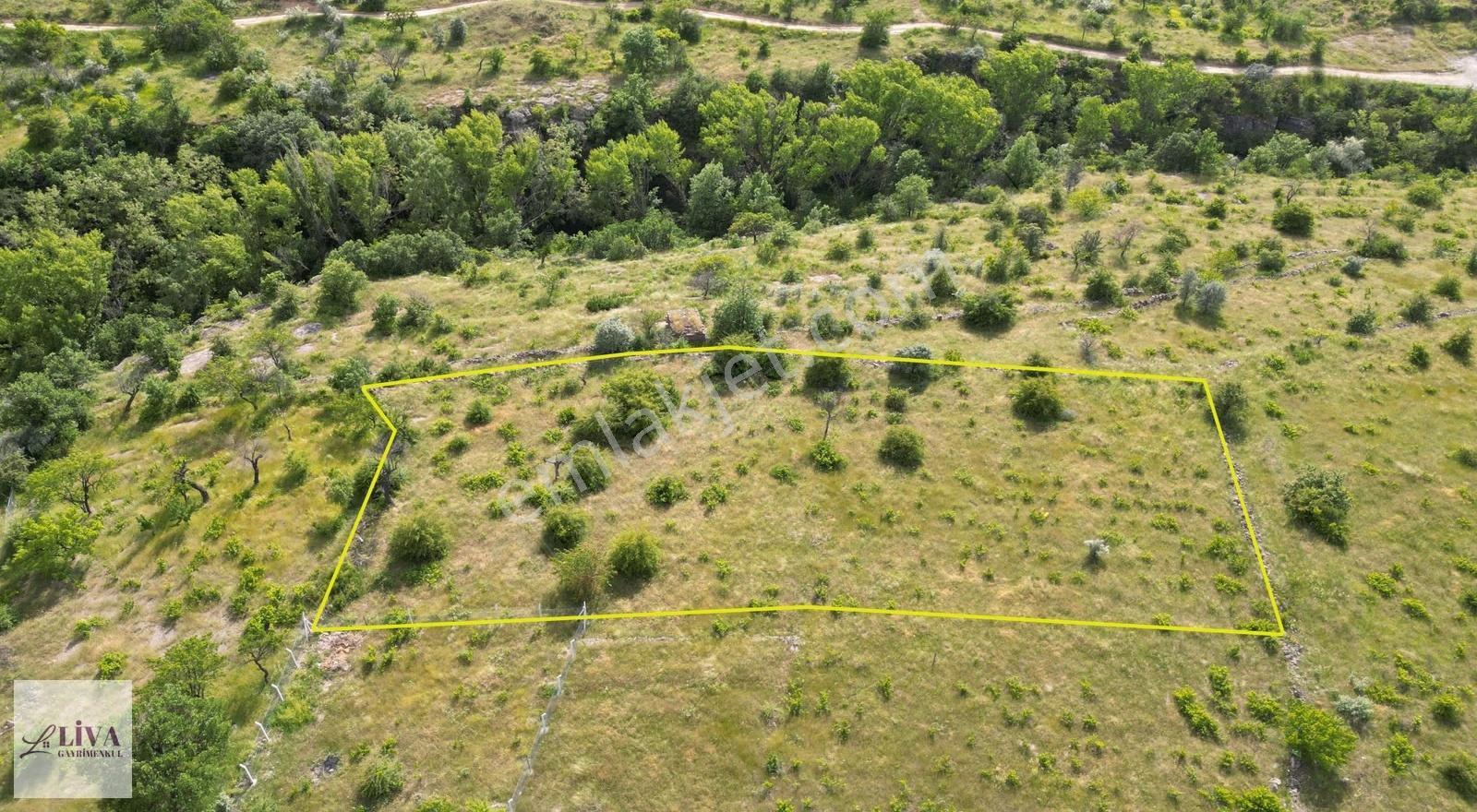 Liva'dan Reşadiye'de Rızai Taksimli 277 M² Bağ
