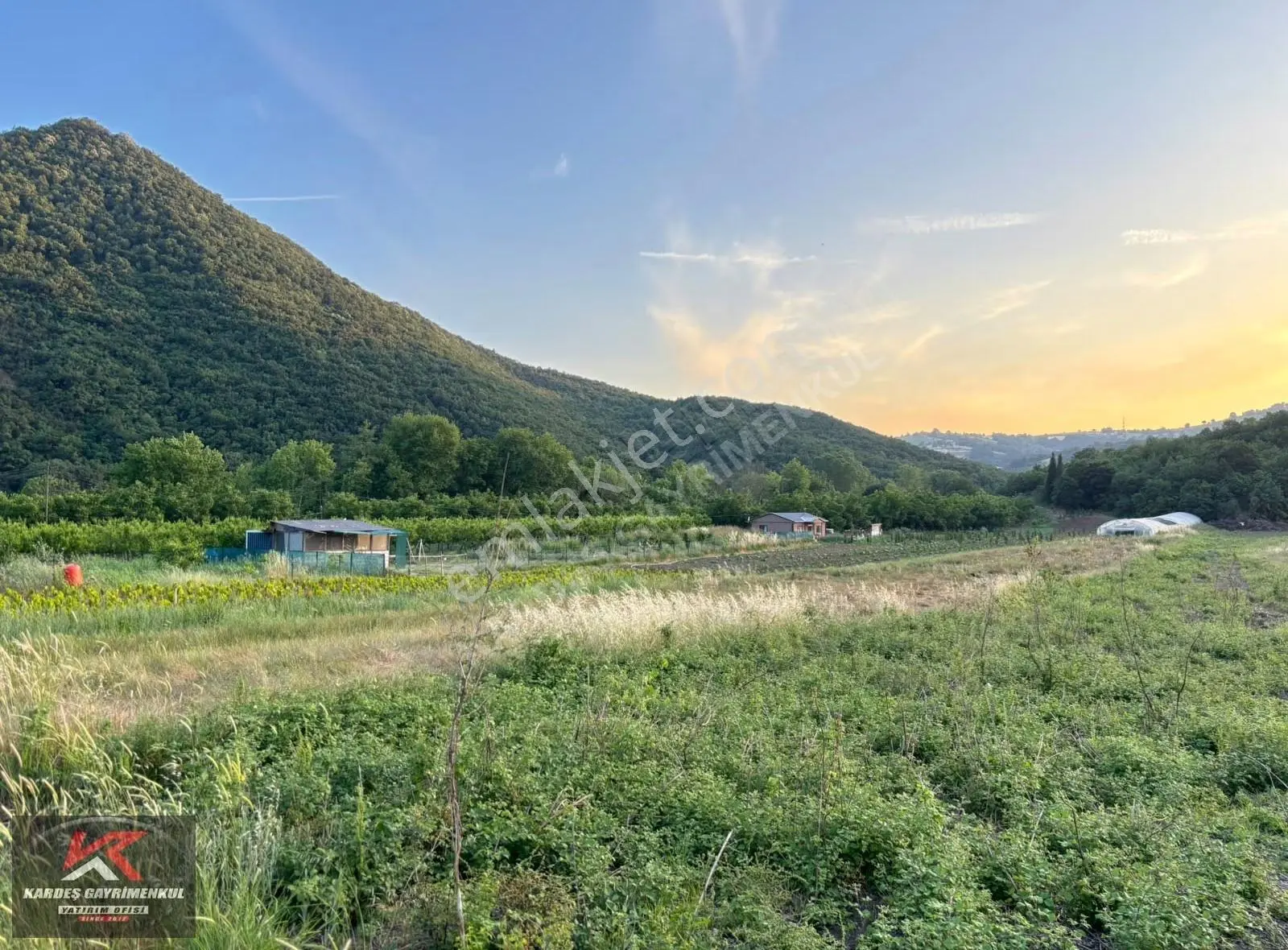 Kardeş'ten Ayazma'da Yola Cepheli 4.987 M² Verimli Tarım Arazisi - Görsel 3