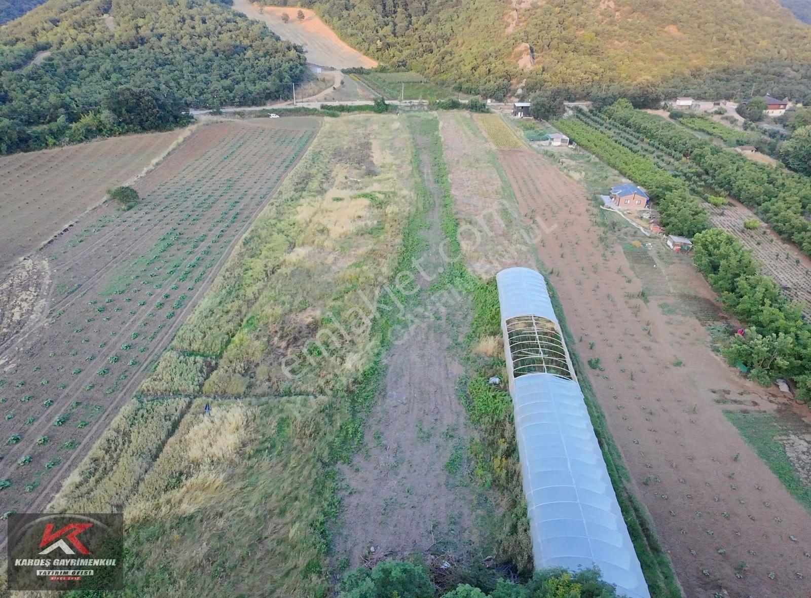 Kardeş'ten Ayazma'da Yola Cepheli 4.987 M² Verimli Tarım Arazisi - Görsel 12