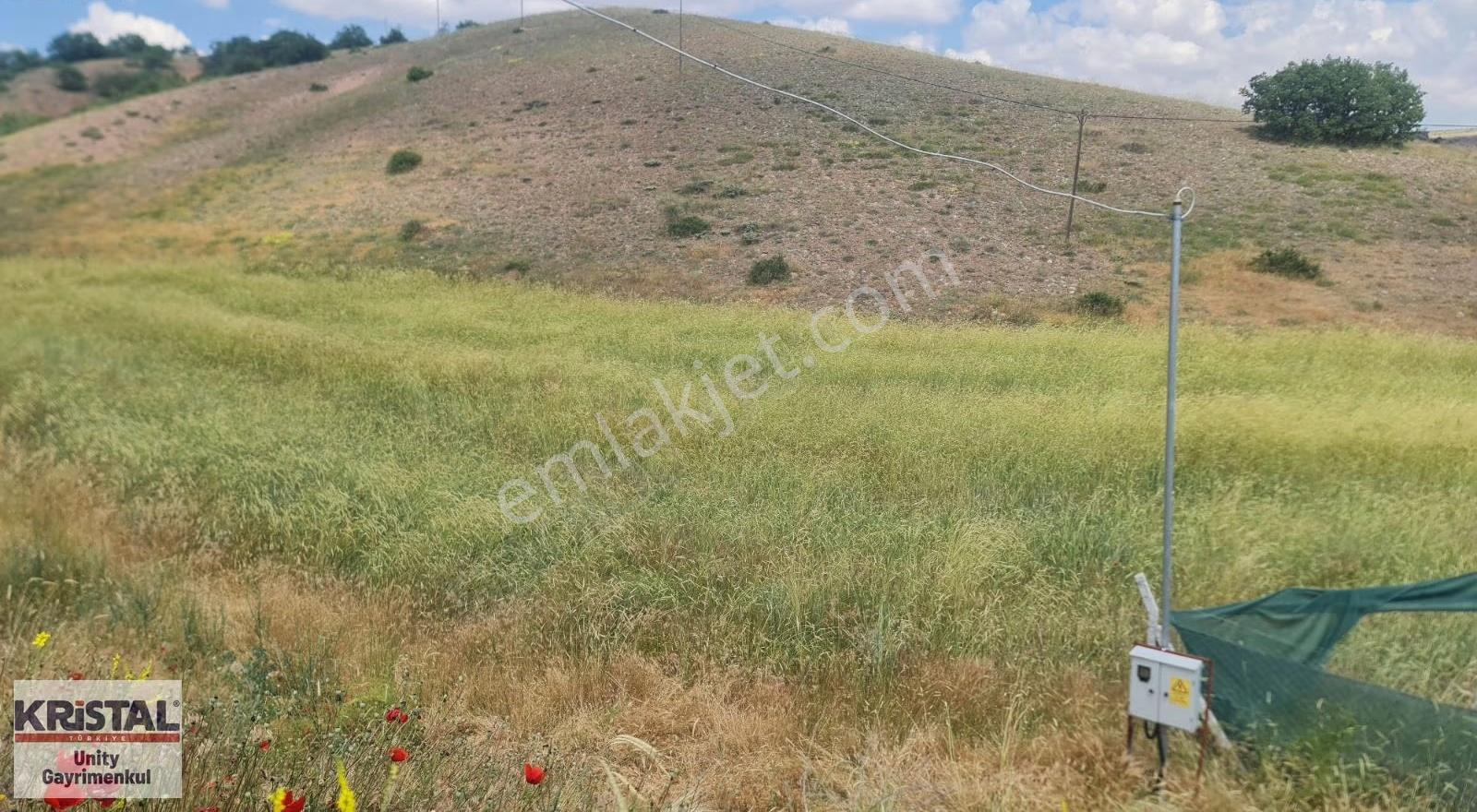 Eskişehir Kızılinler Mahallesinde 3.173 M2 Tarla Satılıktır. - Görsel 3