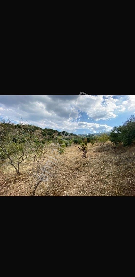 Gürgin Emlak Tan Satılık Dalbahçe De Tarla - Görsel 9