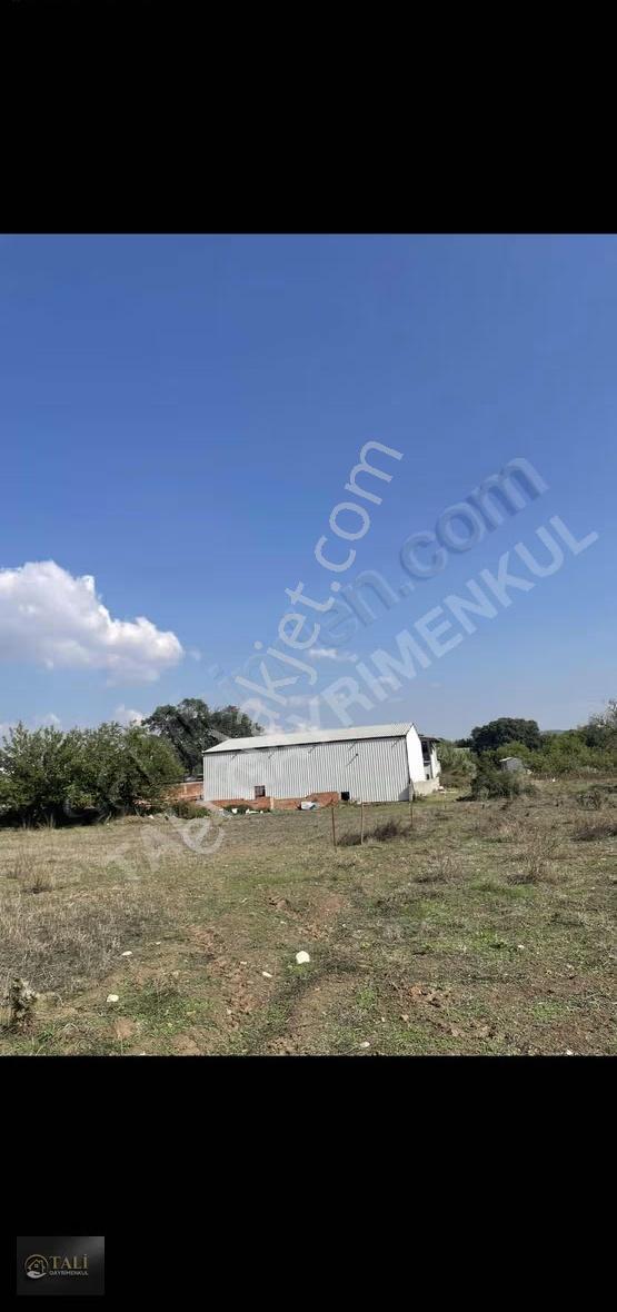 Akçalar'da Yerleşime Yakın Tek Tapu Tarla - Görsel 5